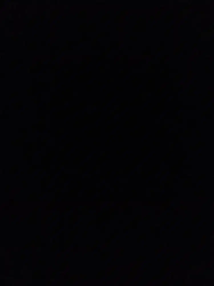 Asisten rumah tangga(art)