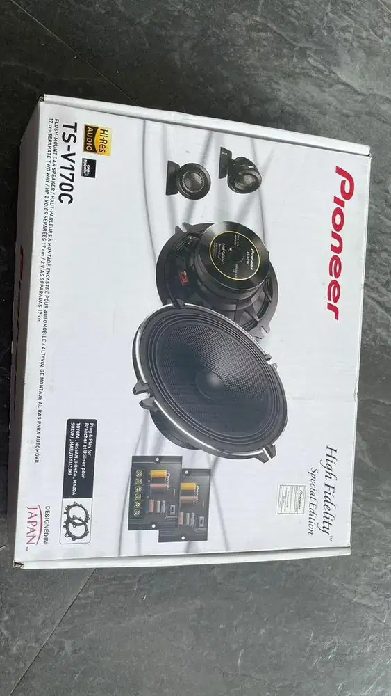 Speaker Flagship Pioneer 2 way split Hi Res TS V170C