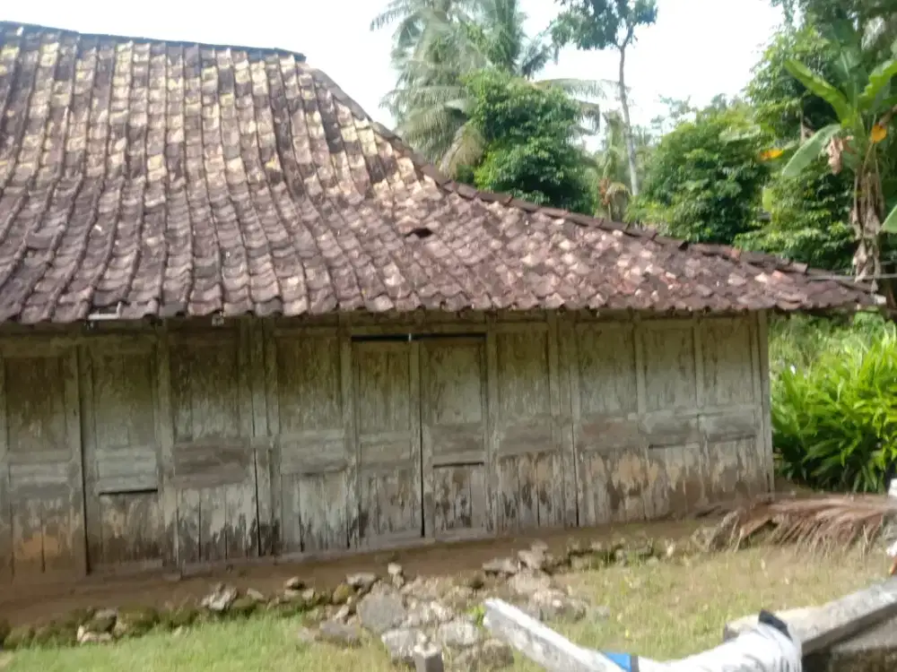 Jual rumah kayu,adat jawa tengah