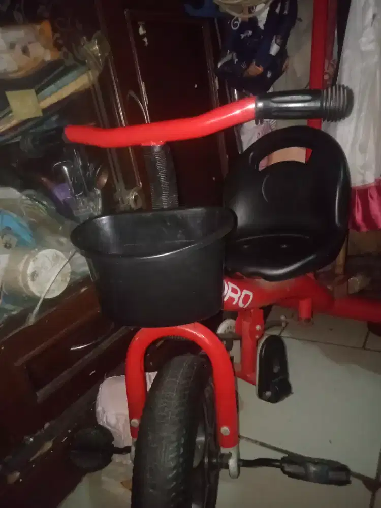 Sepeda lora roda 3