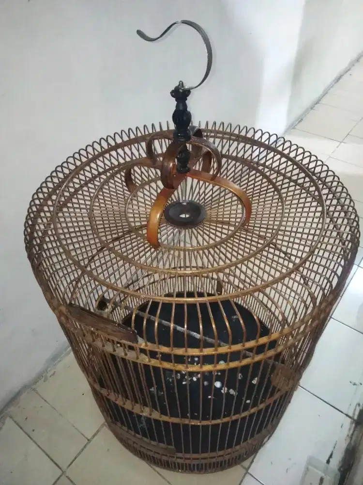 sangkar burung murai no 1