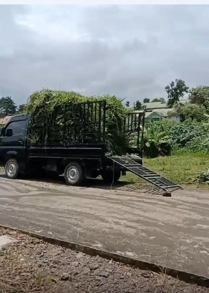 Di Cari Tenaga Ngarit Rumput Menggunakan Mesin