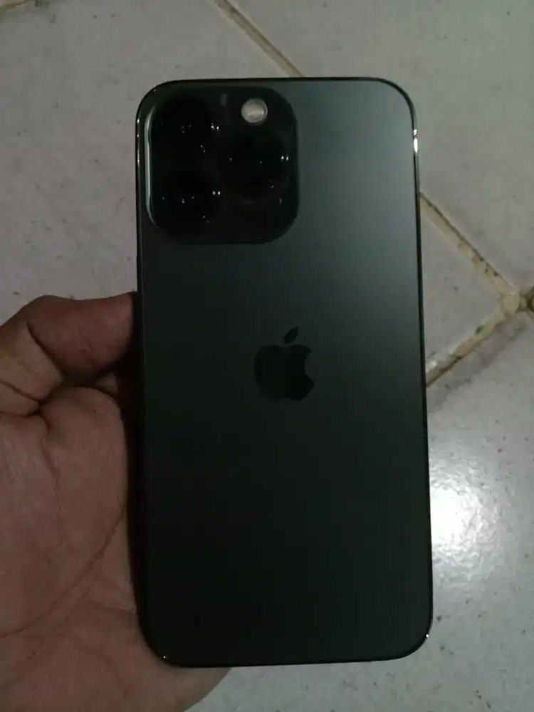 iPhone 13 Pro 256