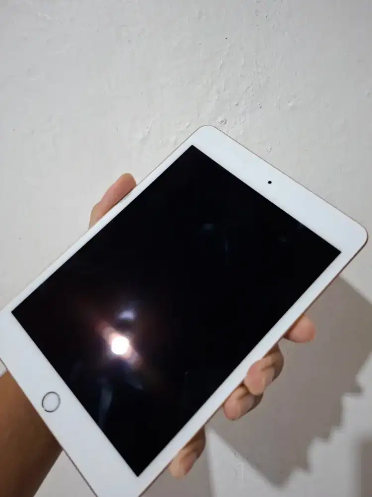 iPad Mini 5 5th gen 64GB