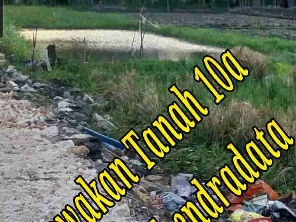 Disewakan Tanah 10a di area Jln Mahendradata Denpasar Barat Bali