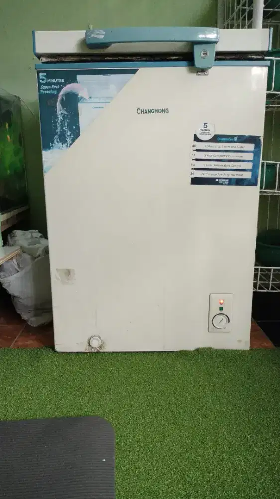 Freezer changhong