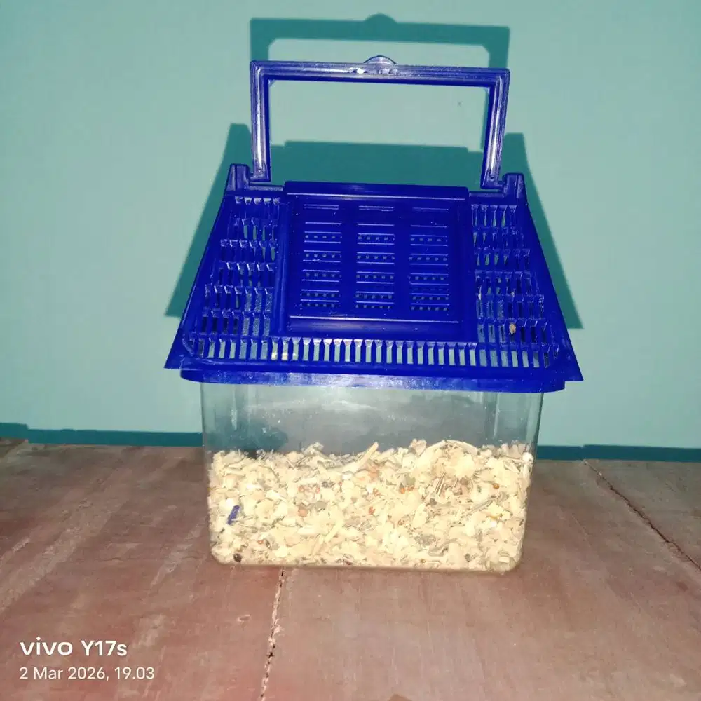 Kandang hamster