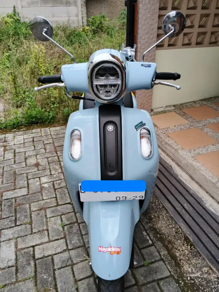 For Sale Fazzio 2024 Keyless Like New