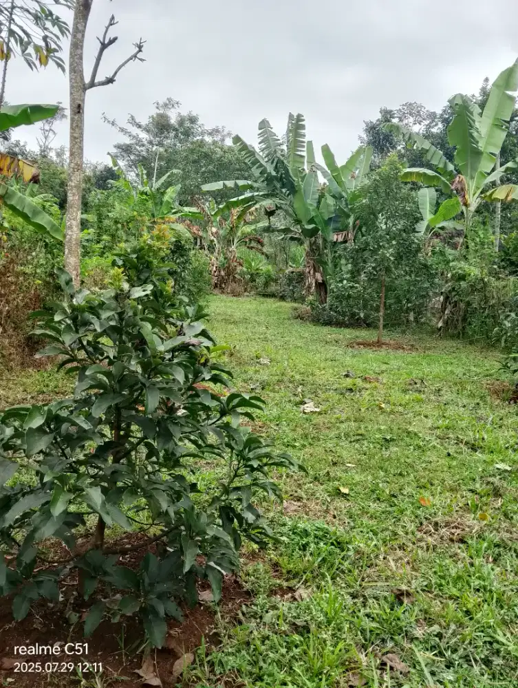 Di jual tanah pekarangan siap bangun