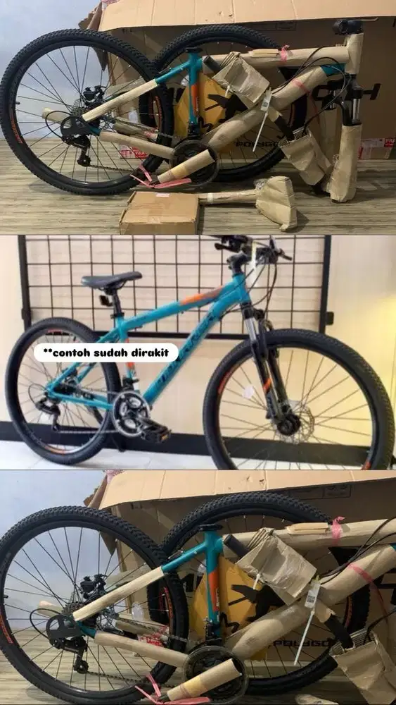 Sepeda Gunung Polygon Monarch