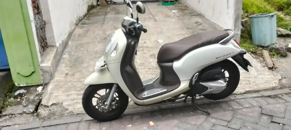 scoopy 2023 bisa nego