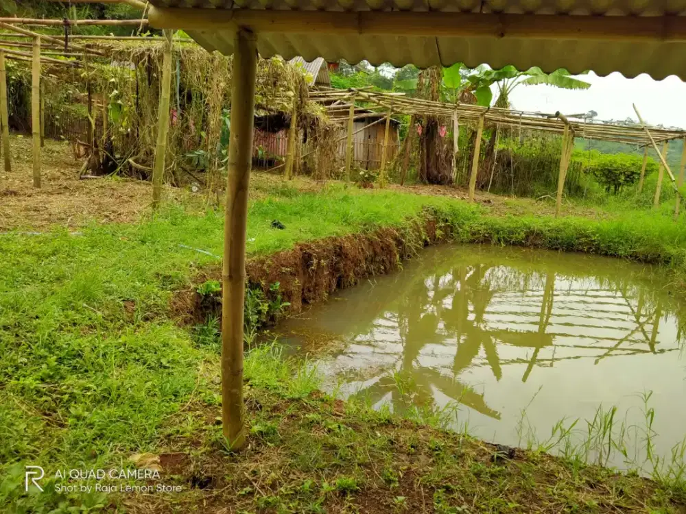 Dijual tanah luas 229 m2