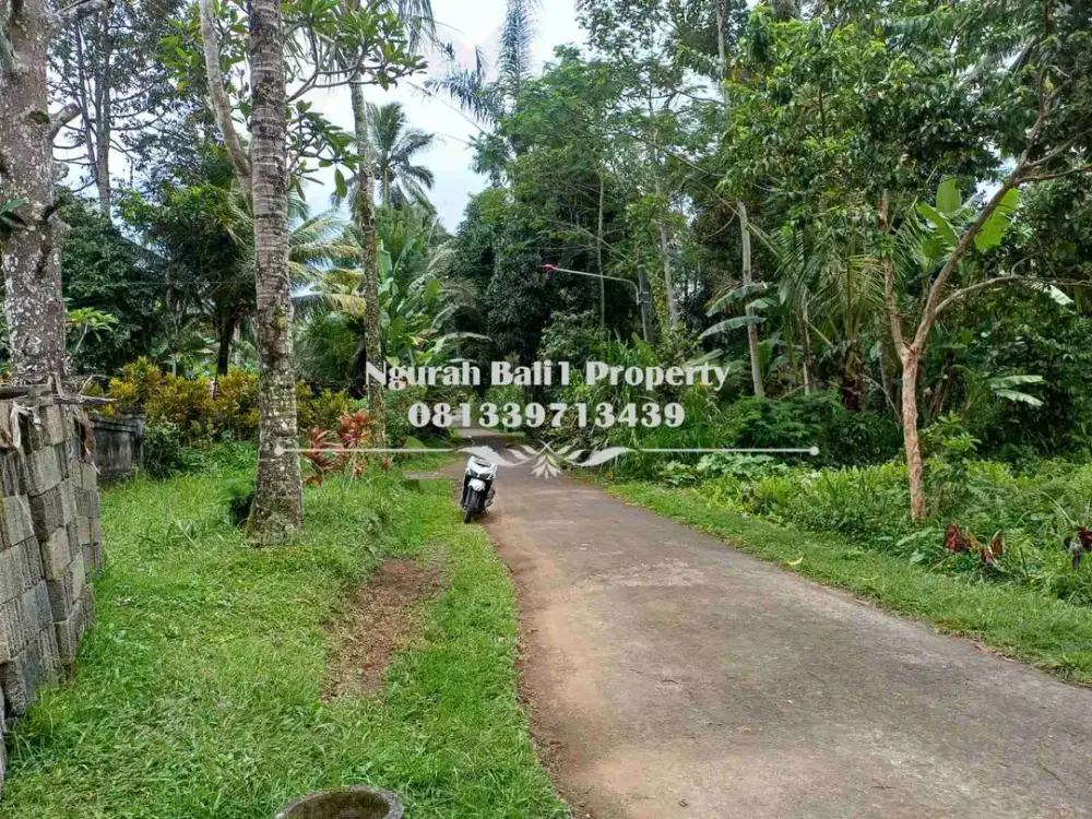 Dijual Tanah Murah Luas 11 Are di Tegallalang Ubud