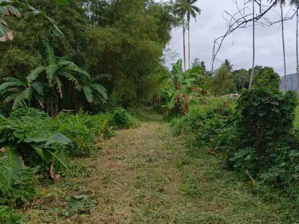 DIJUAL CEPAT TANAH MENARIK DAERAH KONSOLIDASI MAPANGET, HARGA SANGAT MURAH