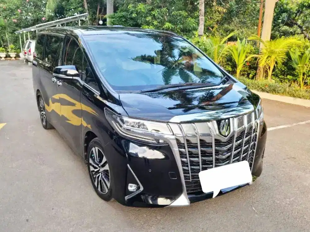 2019 Alphard G ATPM Km 54rb Recor Service B Ganjil Pjk 10/2026 *KREDIT