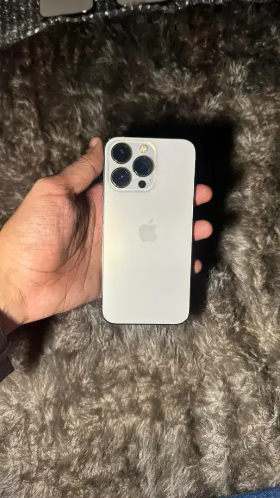 13 pro 256gb inter all operator