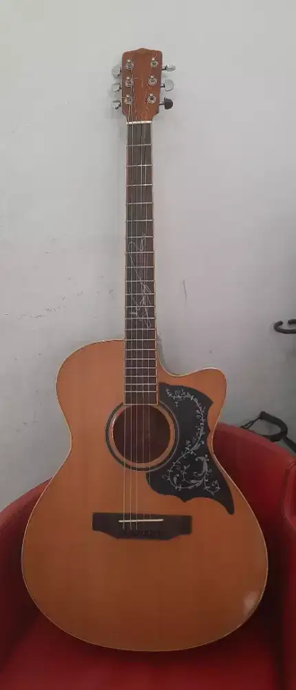 Acoustic Folk String Greco.