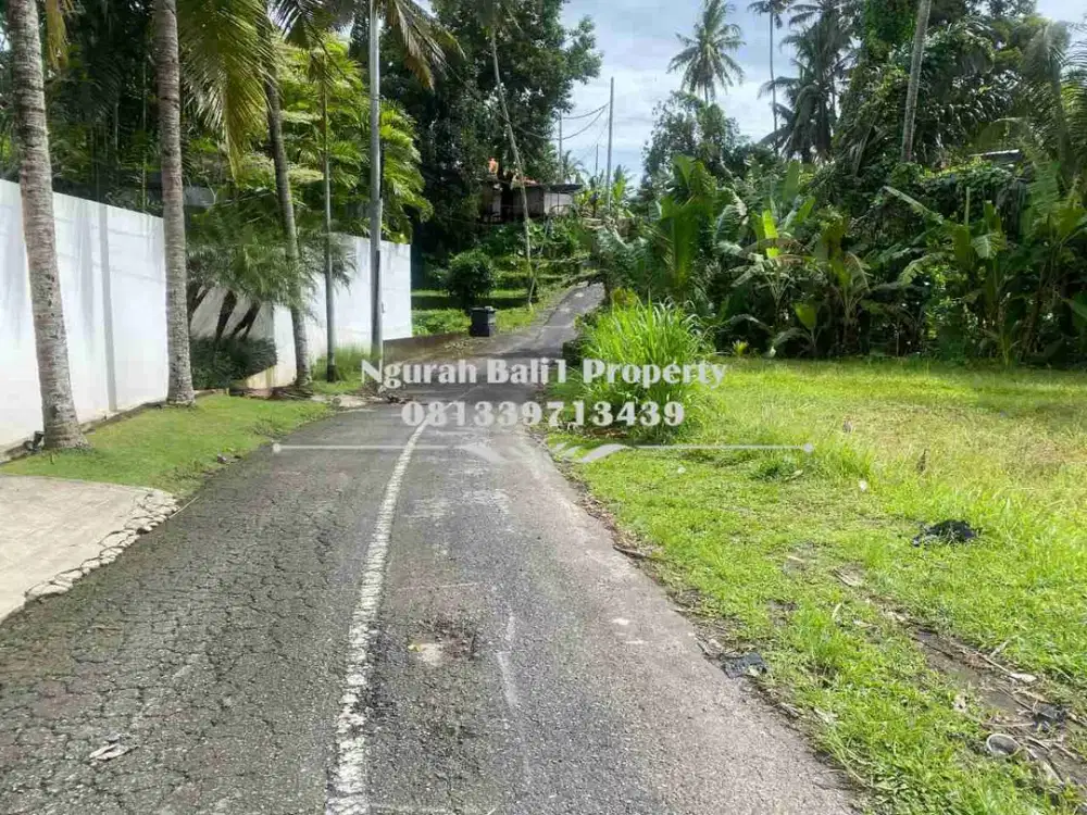 Dijual Tanah Murah Luas 10 Are di Br Tunon Ubud