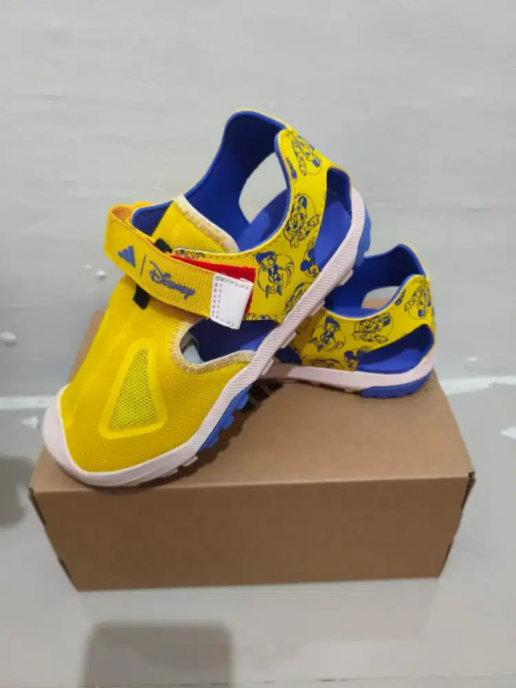 Adidas TERREX edisi Disney