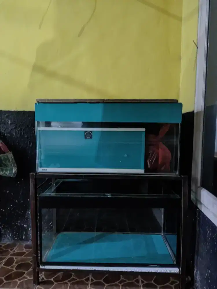 Aquarium ,ikan,kaca + rak 2 tingkat