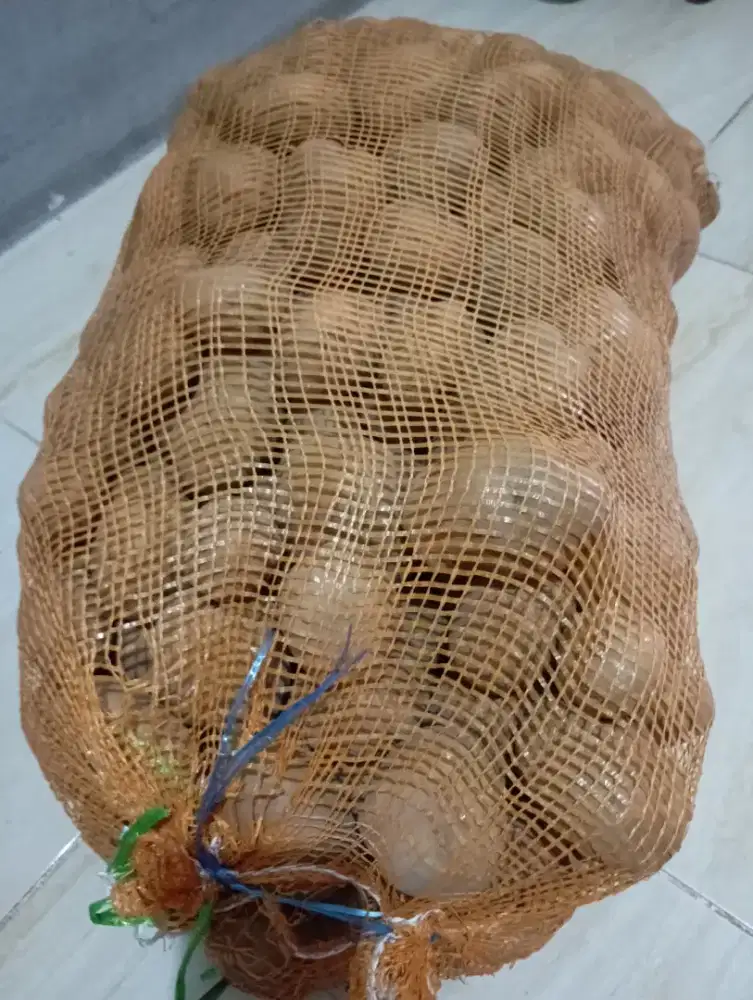 Dibutuhkan Pengrajin kentang Mustofa