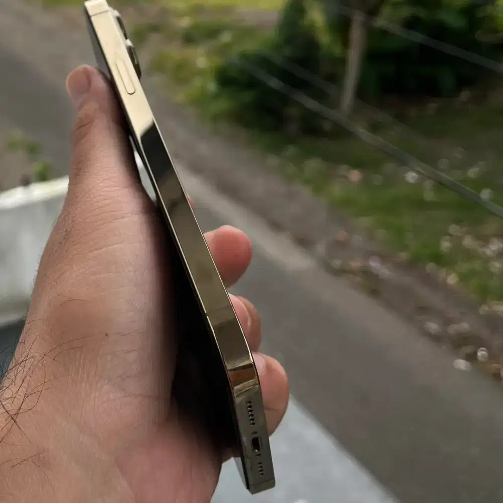 iPhone 13 Pro Max Gold Ex Garansi Ibox