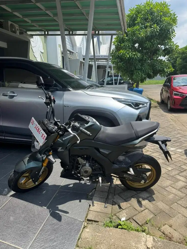 Kawasaki Z125 Pro 2025