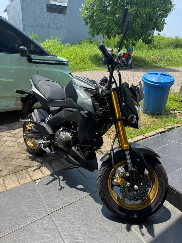 Kawasaki Z125 Pro 2025