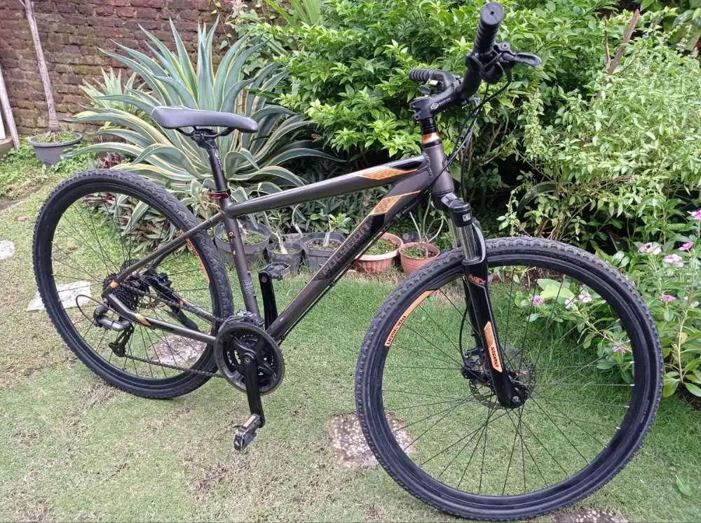 POLYGON HEIST 2 MULUS