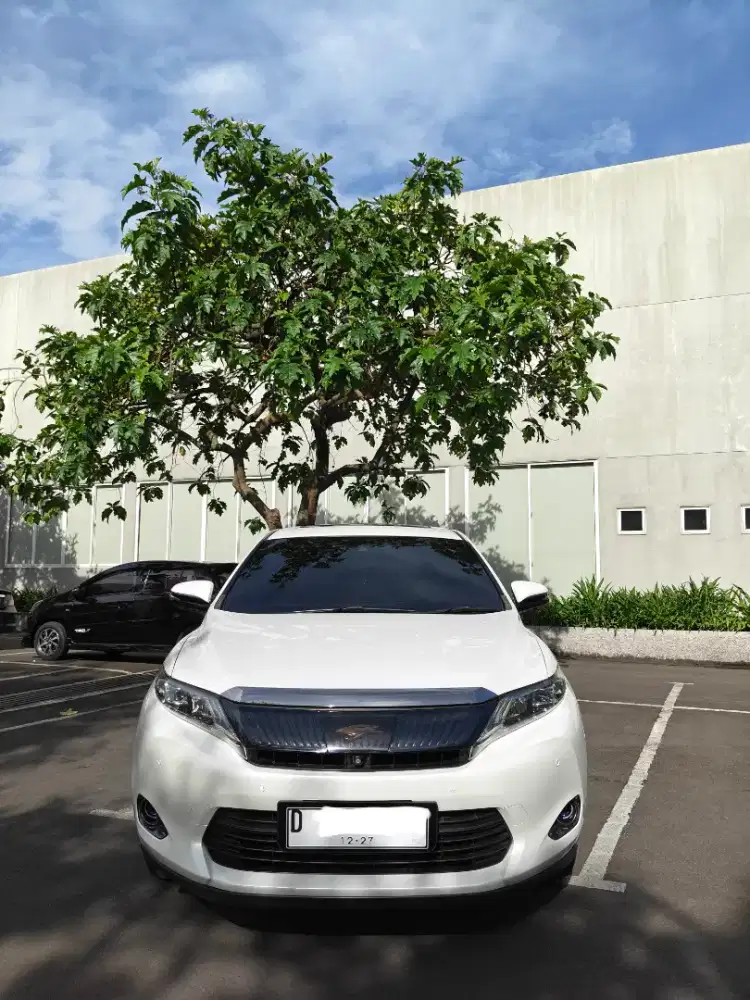 Harrier Premium Sound JBL 2015