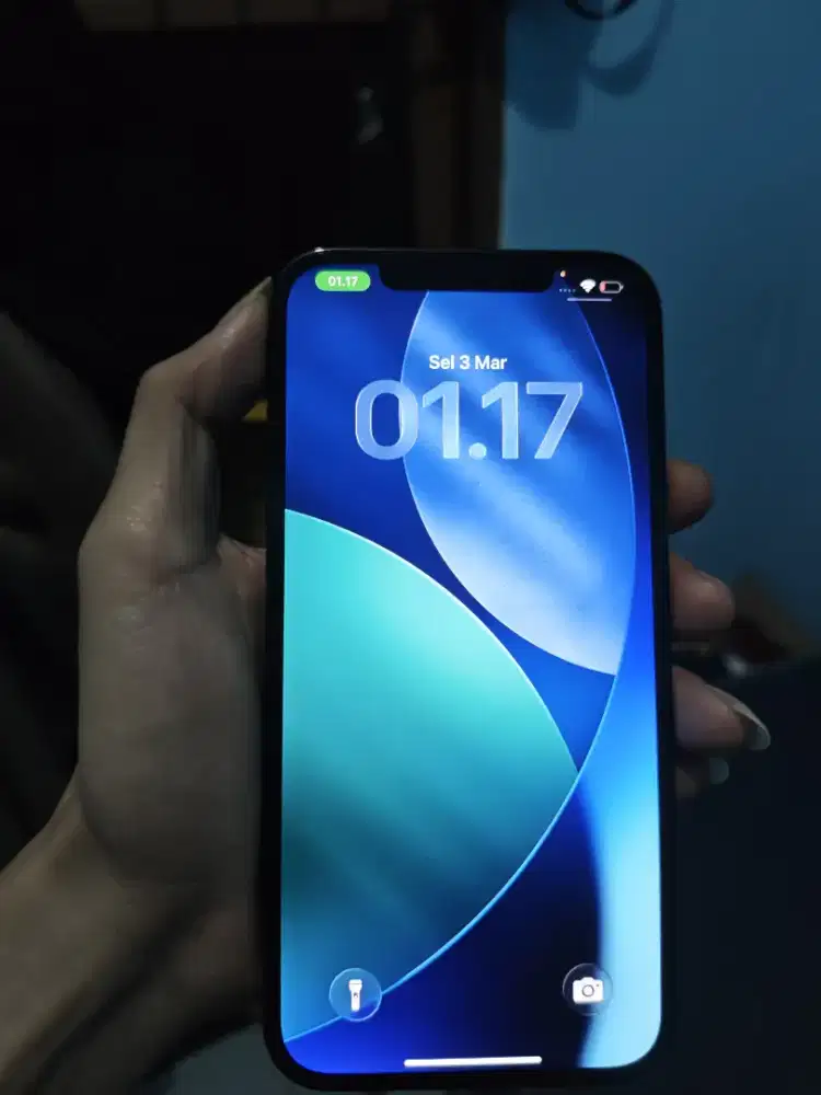 iPhone 12 Pro Max 126 Beacukai