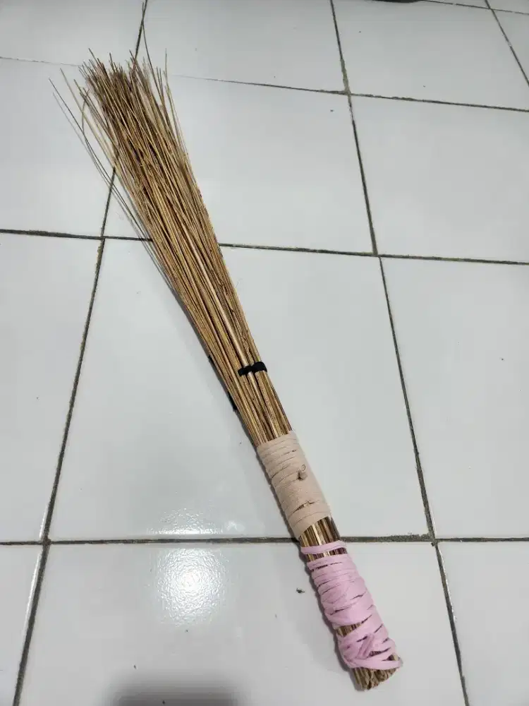 Sapu lidi kecil