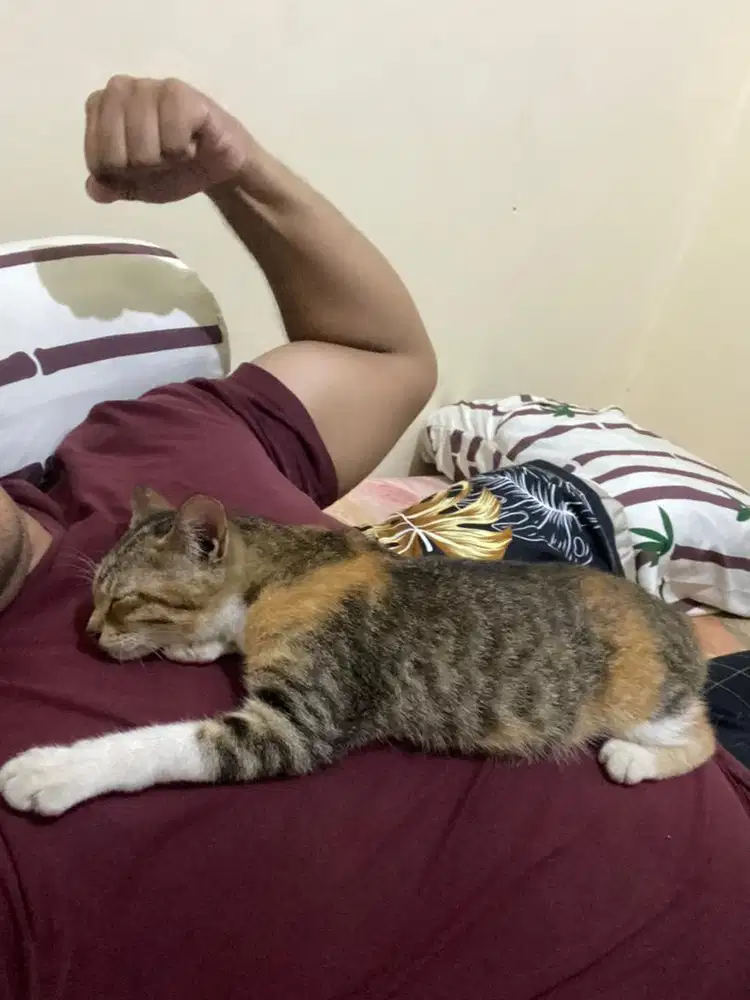 Jasa merawat lansia/ jaga di rumah sakit