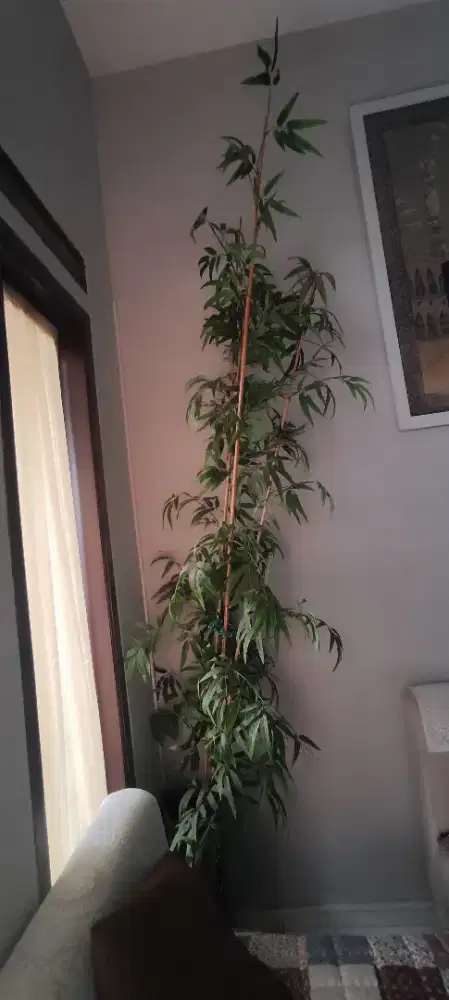 Pohon Bambu Artificial