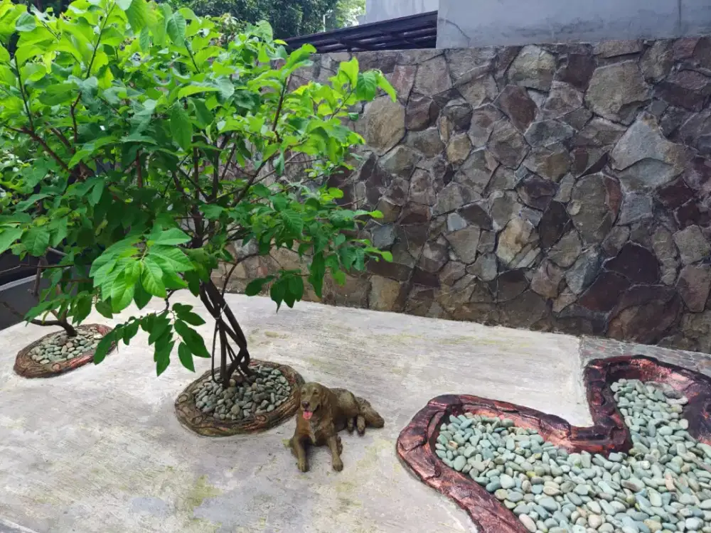 BU. Dijual Cepat Rumah SHM siap huni di Legenda Wisata boulevard