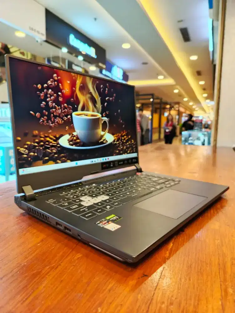 ASUS ROG strix G513RM