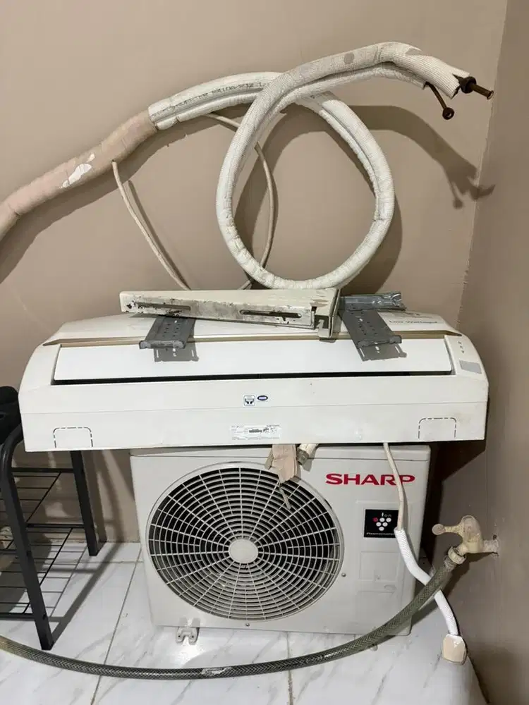 Ac sharp low watt 1 Pk