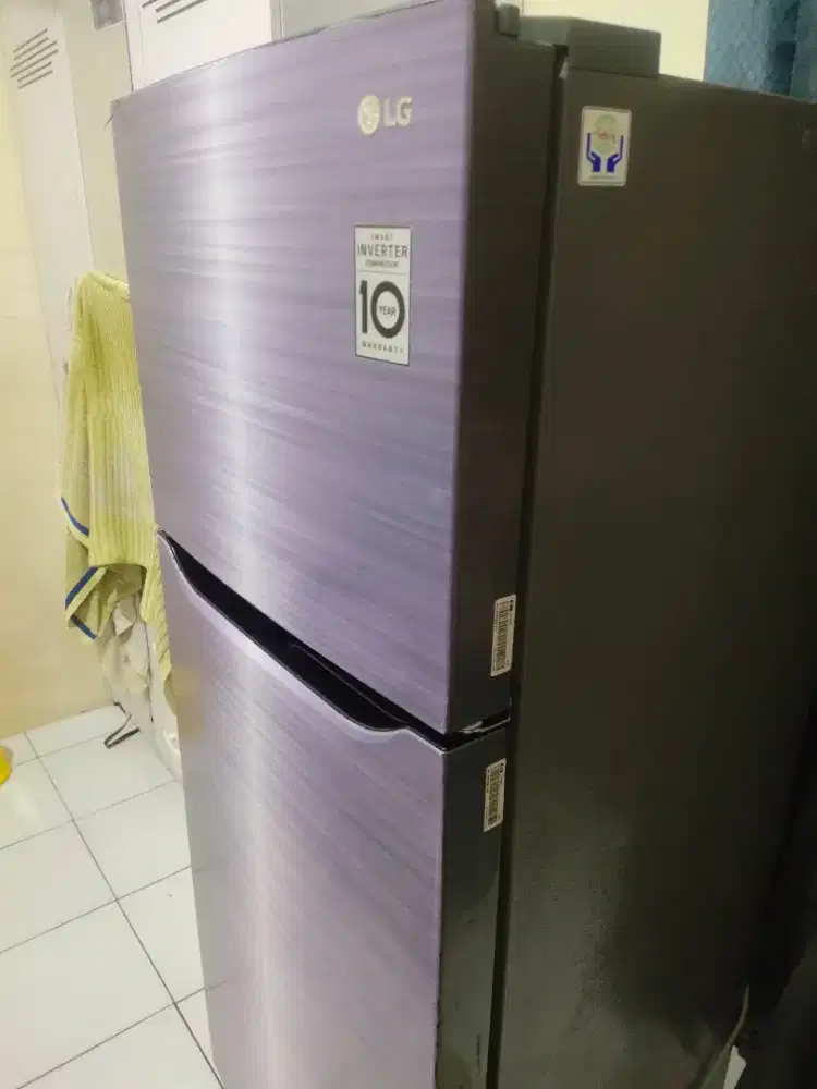 Kulkas LG 2 pintu