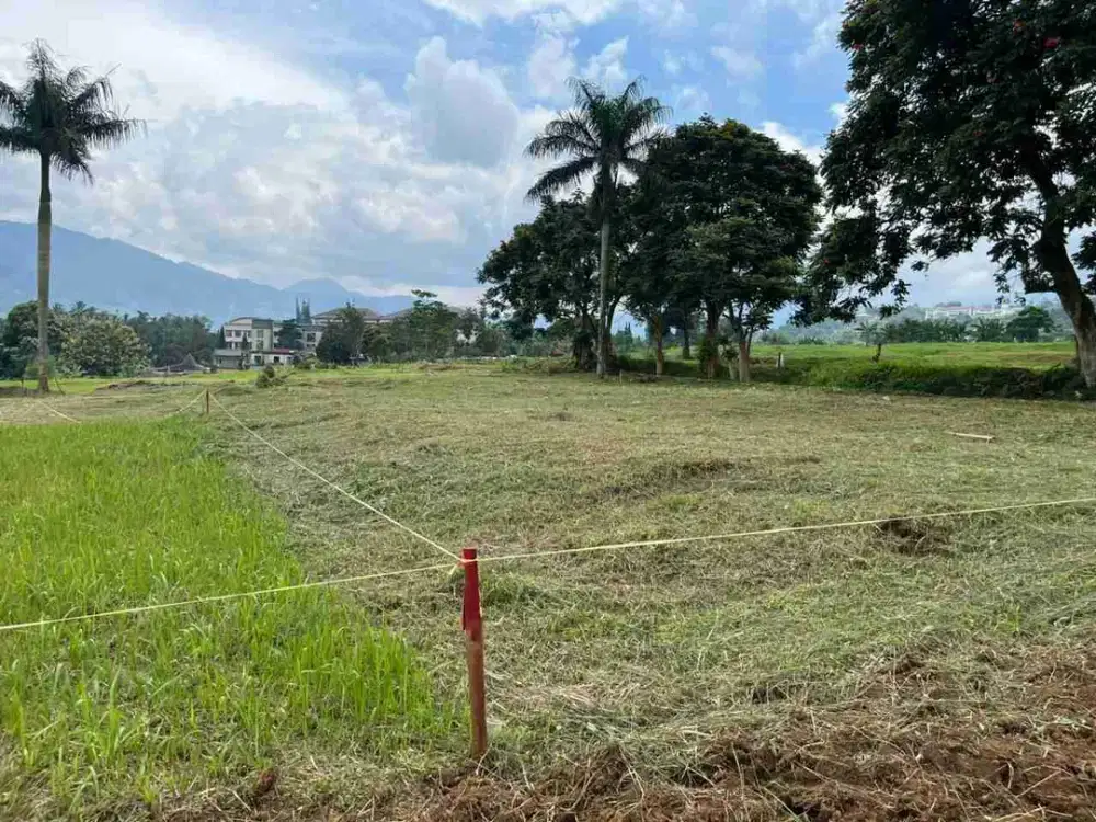 Tanah Luas 500m² Siap Bangun Dekat Wisata Puncak Akses Mudah