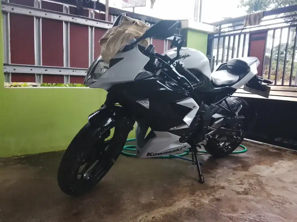 2015 Ninja 250SL mono