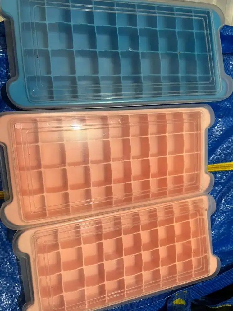 Cetakan es / bawang frezzer