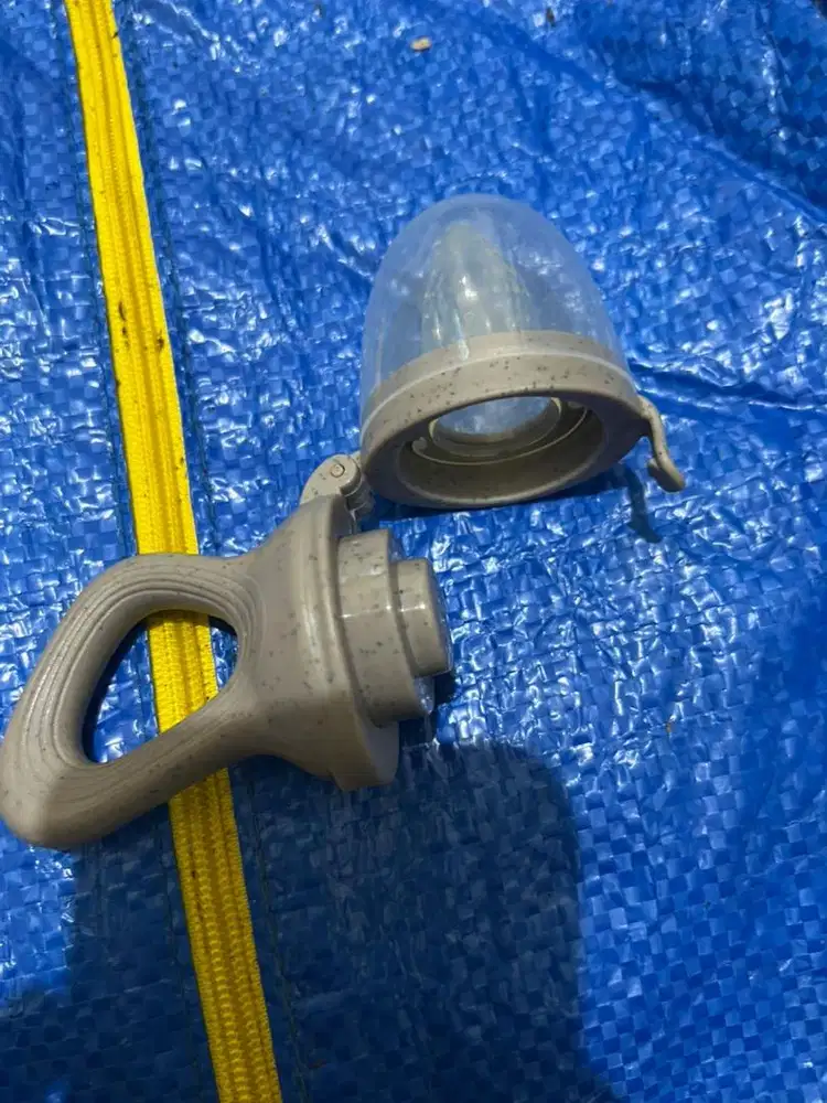 Bloome fruit pacifier