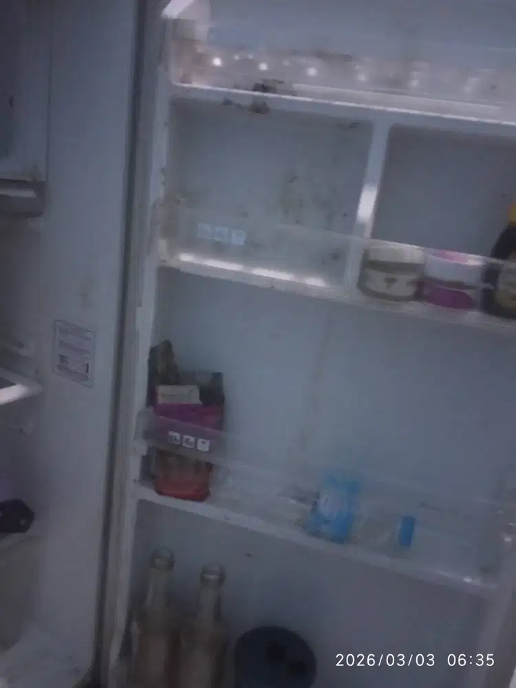 Kulkas polytron 1 pintu