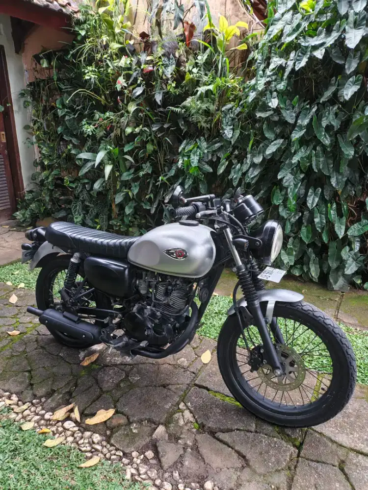 kawasaki w175 2018