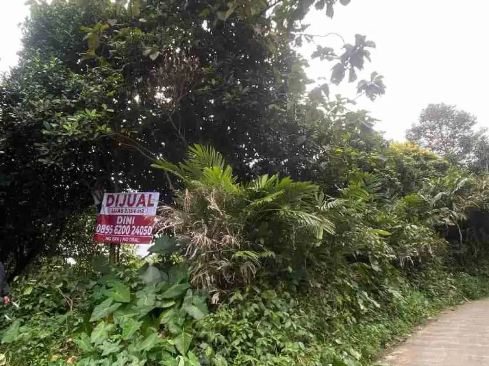 dijual tanah lebar 32 meter sukaluyu tamansari ciapus