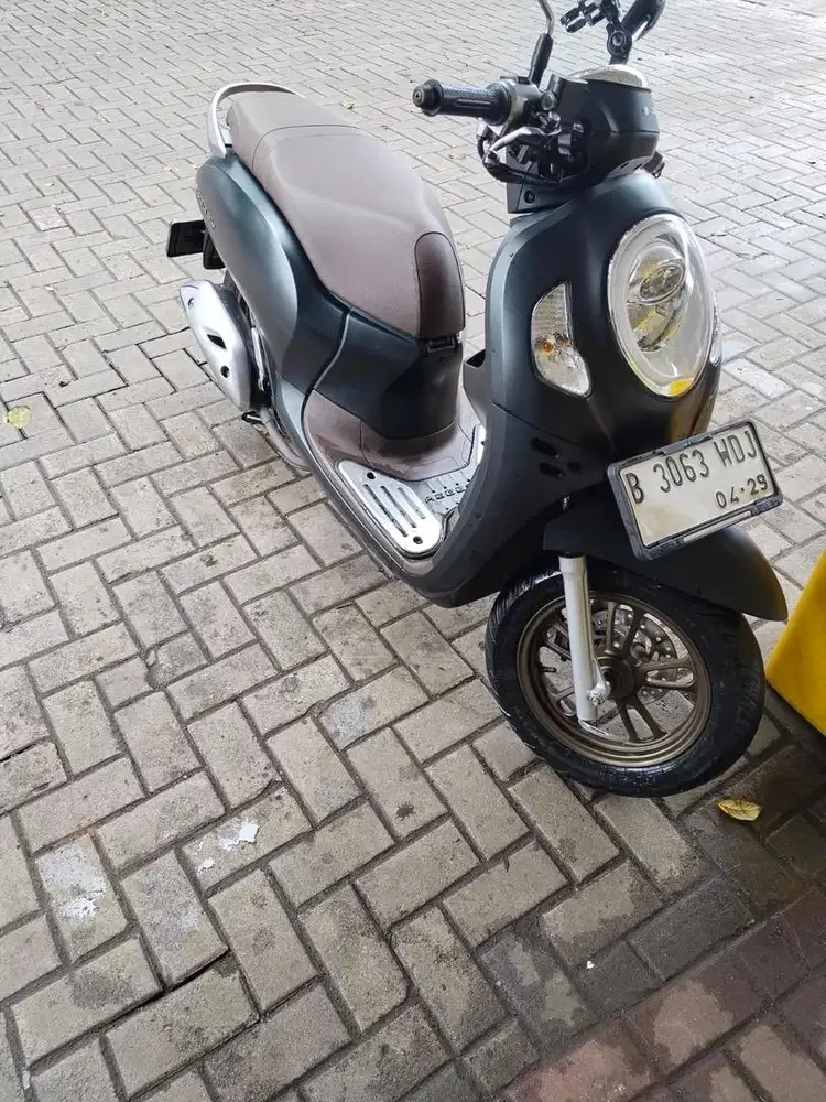 Scoopy pristage 2024