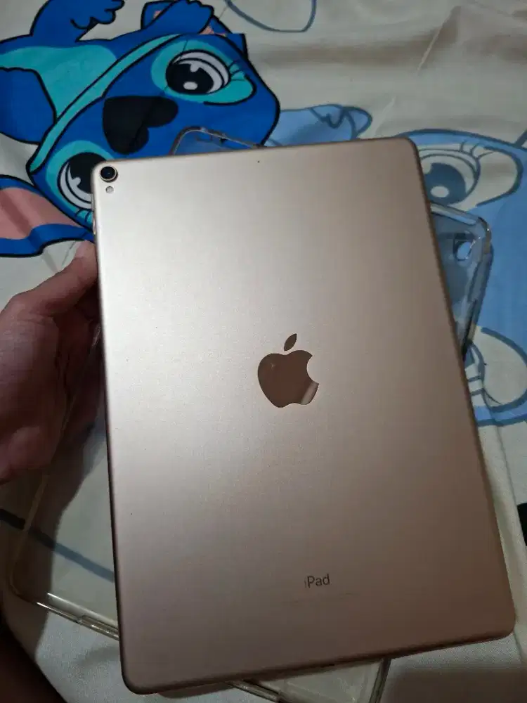 iPad Pro 10.5 inci