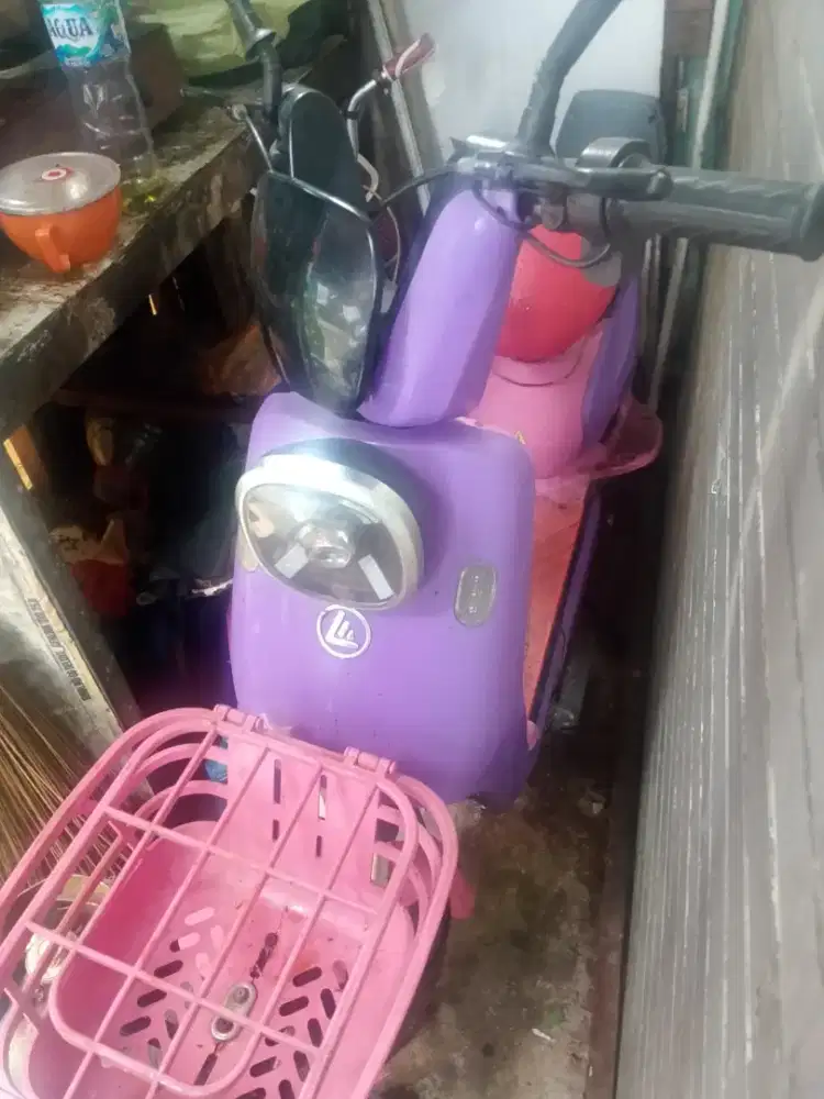 Sepeda listrik exotic