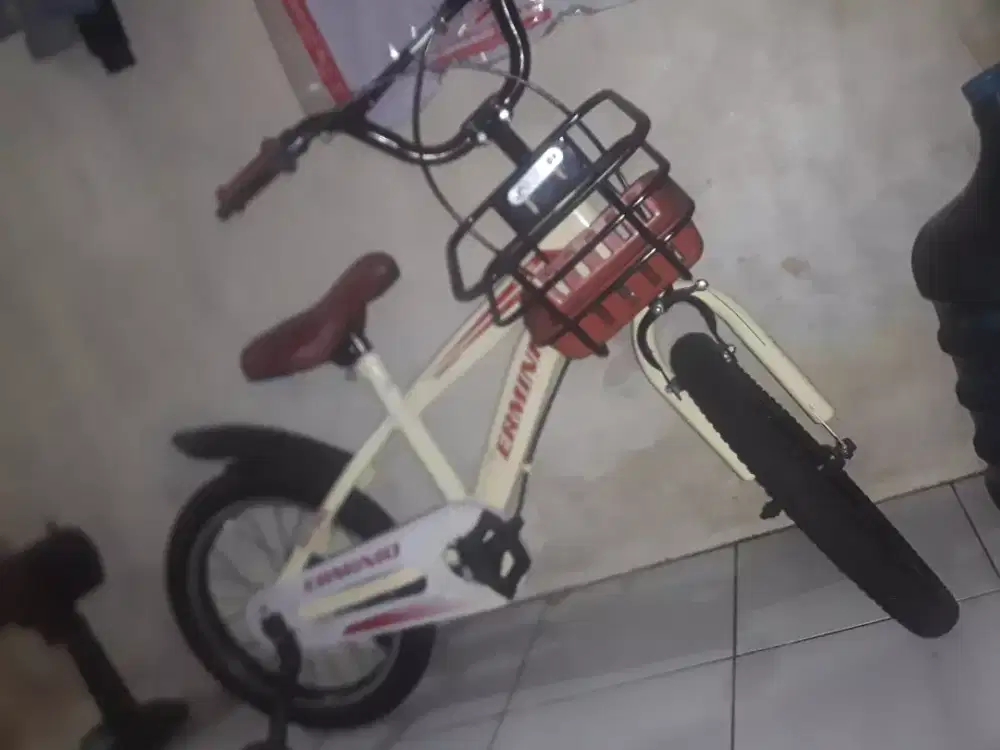 Sepeda Anak Erminio