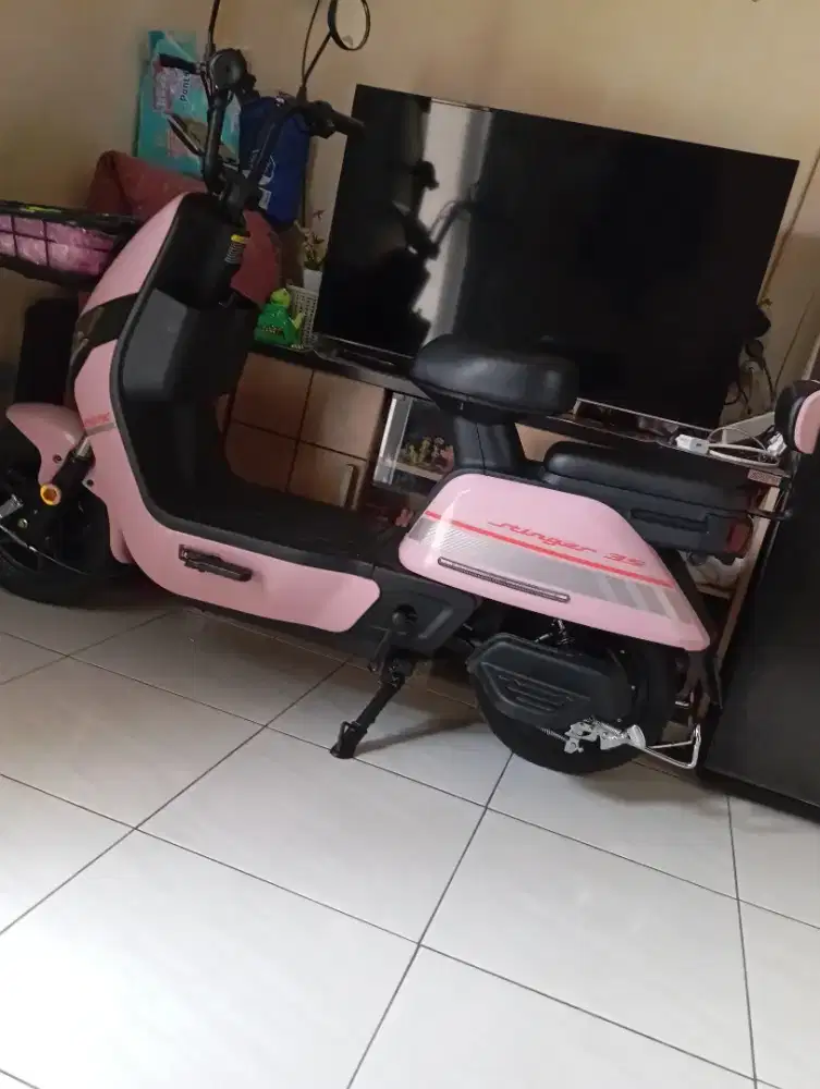 Dijual cepat exotic Stinger